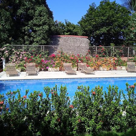 Color Hostel פאלומינו מראה חיצוני תמונה
