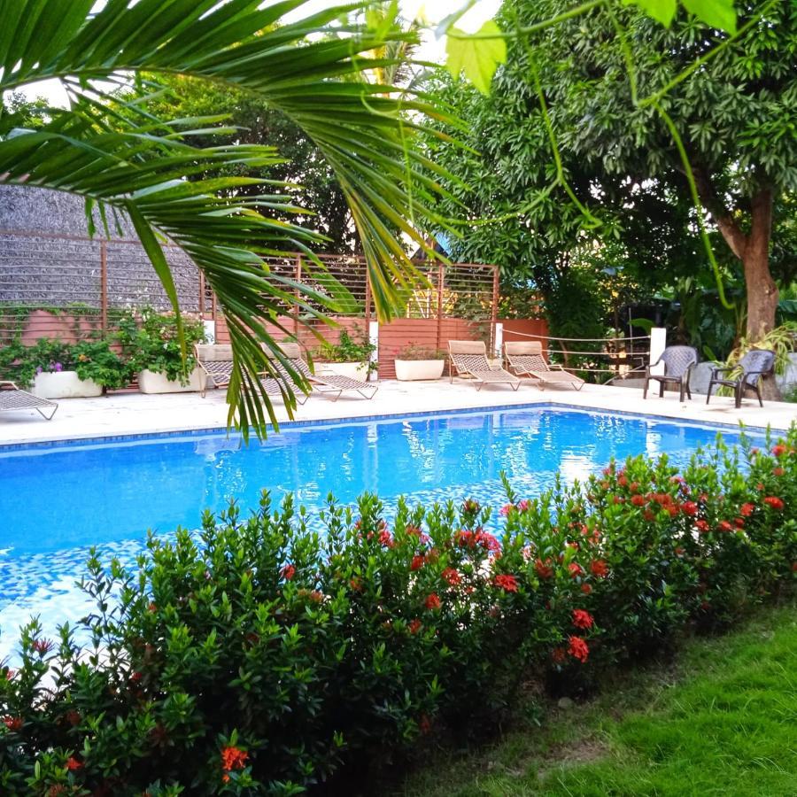 Color Hostel פאלומינו מראה חיצוני תמונה