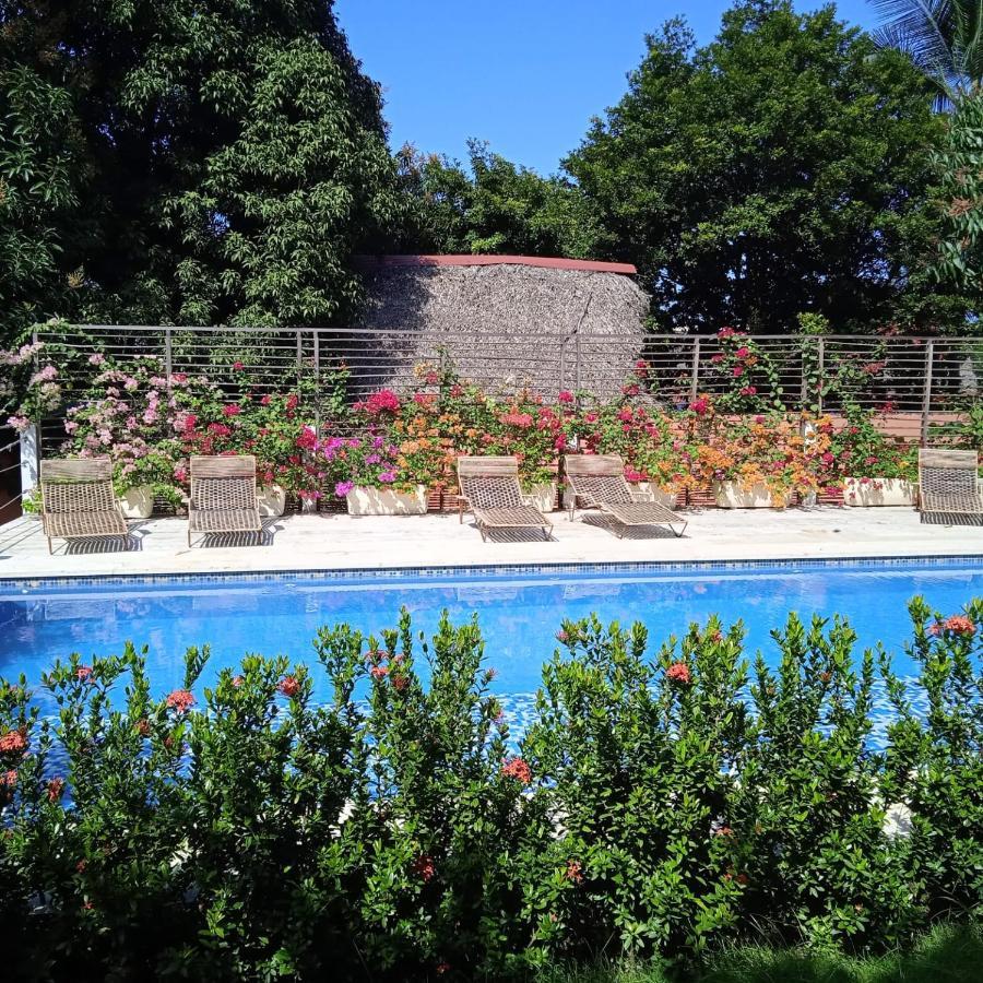 Color Hostel פאלומינו מראה חיצוני תמונה